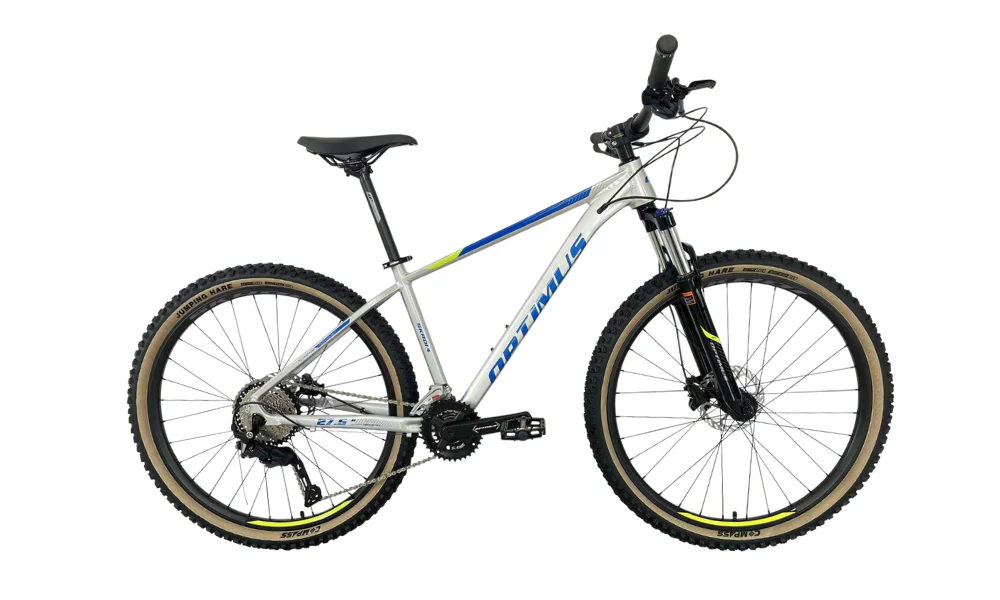 BICICLETA OPTIMUS SKADI 4